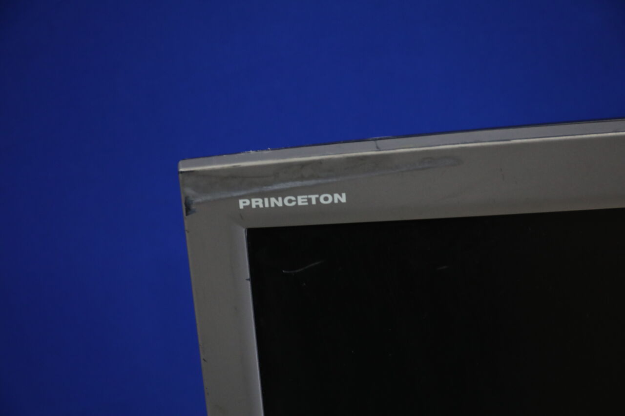 PRINCETON DIGITAL CORP LCD19D Display Monitor
