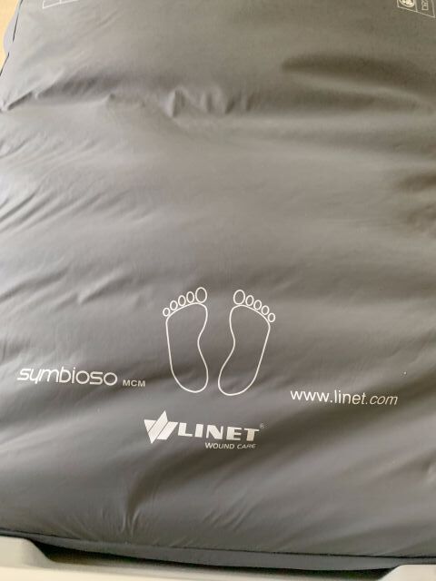 LINET AMERICAS Multicare ALT Adaptable Beds Electric
