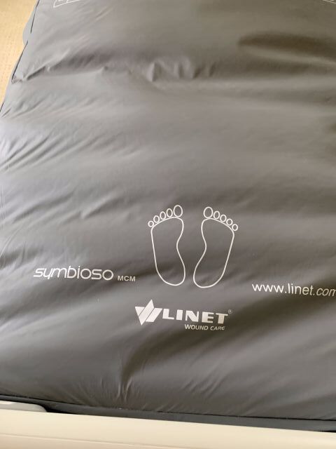 LINET AMERICAS Multicare ALT Adaptable Beds Electric