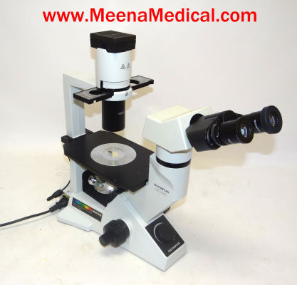 OLYMPUS CKX41 Inverted Microscope