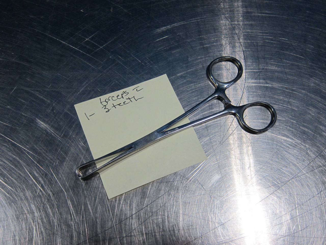 VARIOUS Forceps - Lot of 8