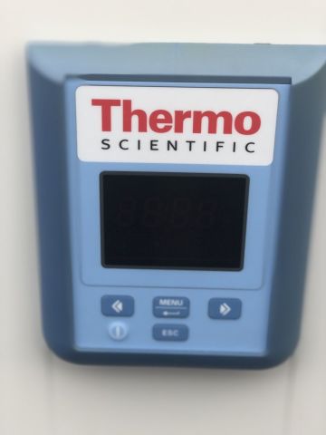 THERMO SCIENTIFIC Heratherm Incubator