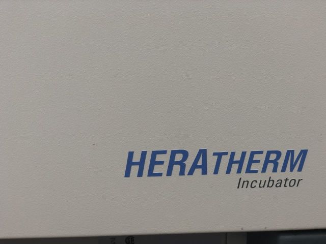 THERMO SCIENTIFIC Heratherm Incubator