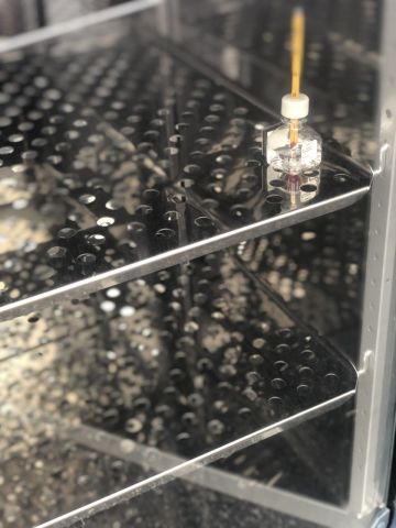 THERMO SCIENTIFIC Heratherm Incubator