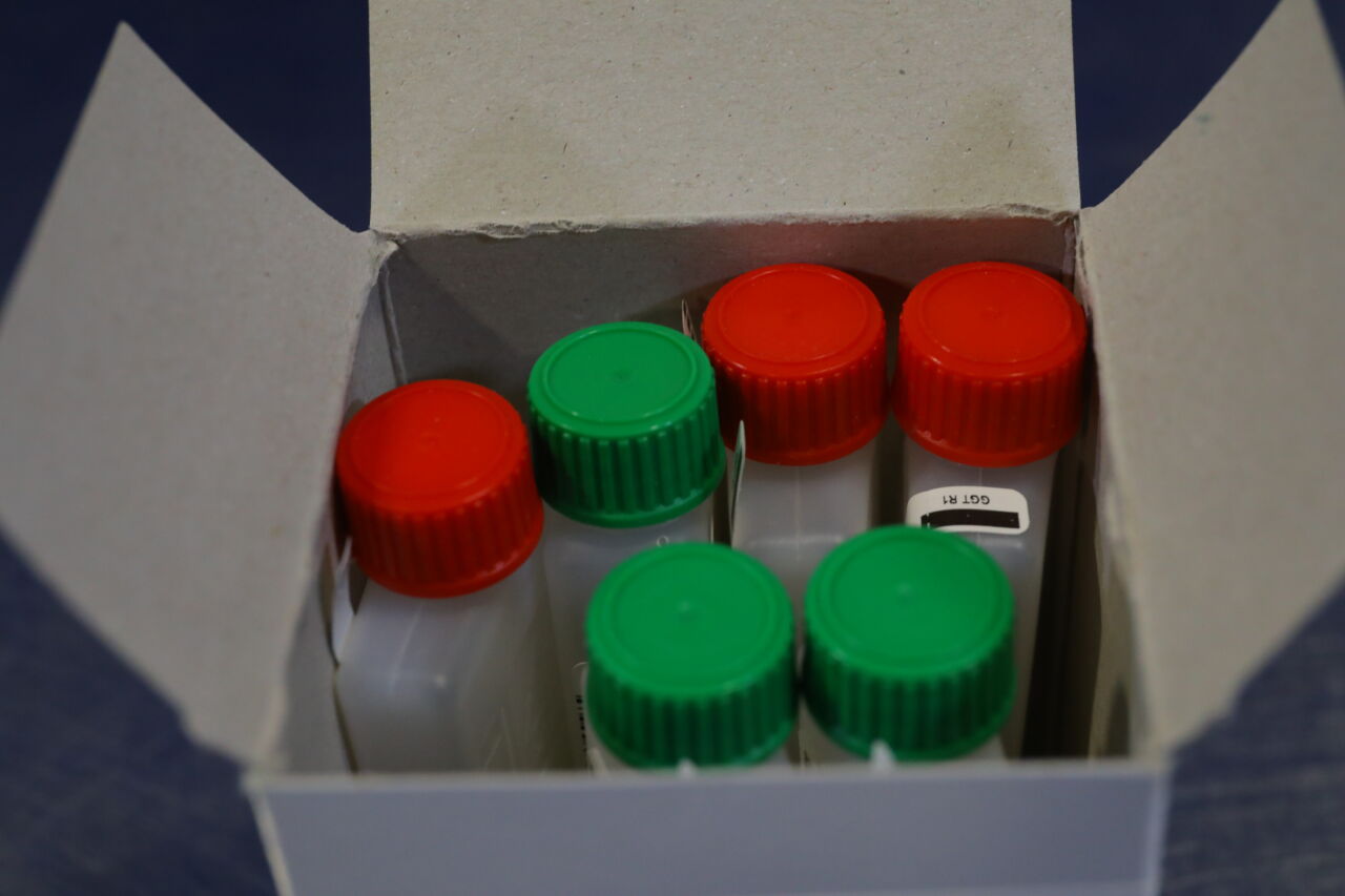 BECKMAN COULTER OSR6119 Gamma-Glutamyltransferase (GGT) Reloads