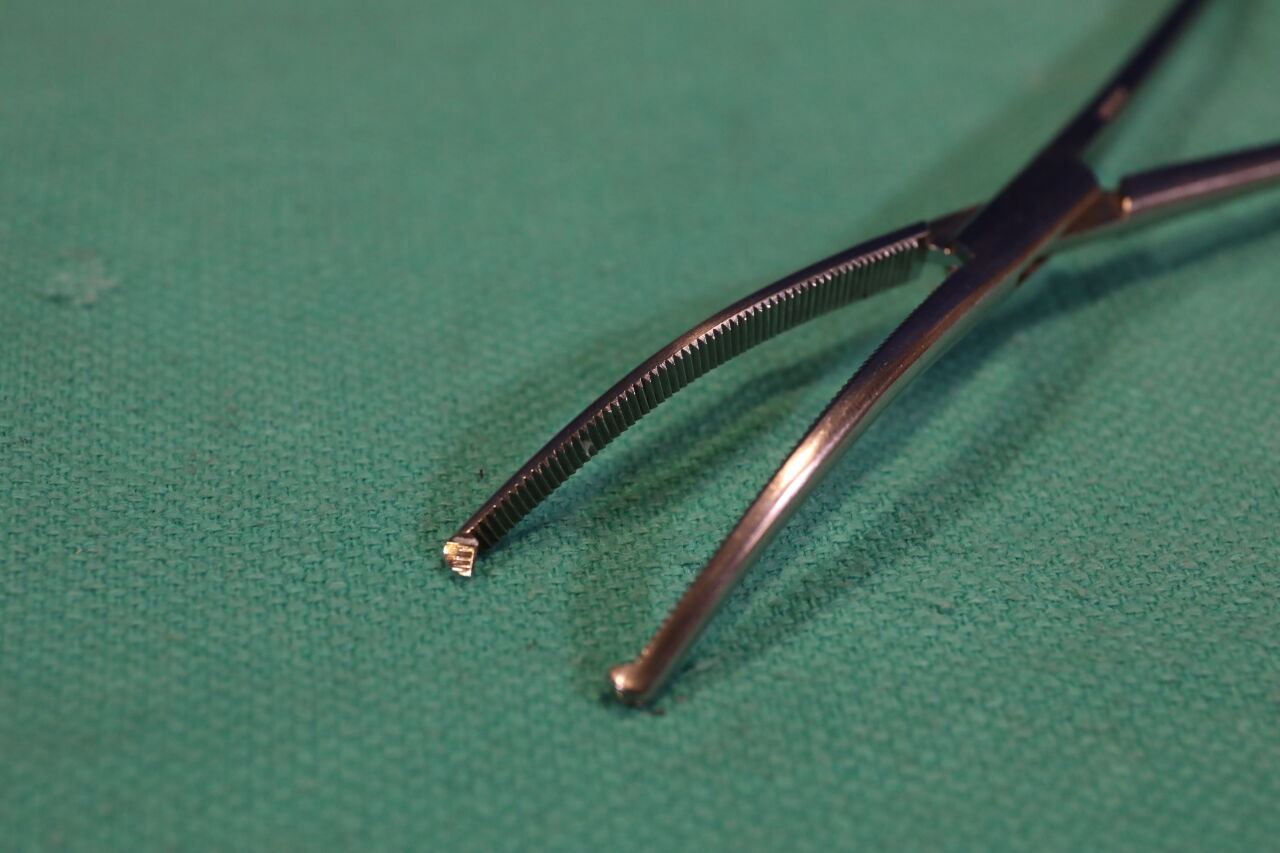 MILTEX Forceps