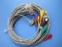 PanSW Med Corp webstore photographs