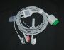 Southeastern Biomedical Associates, Inc. webstore photographs