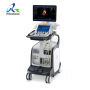 Everest Medical Solutions (HK) Co., Ltd. webstore photographs