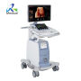 Everest Medical Solutions (HK) Co., Ltd. webstore photographs