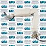 Global Biomedical Service srl webstore photographs