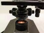 Medical Equipment Dynamics, Inc. webstore photographs