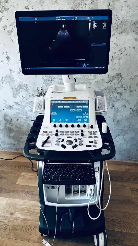 GE GENERAL ELECTRIC Ge Vivid E95 v.202 with M5Sc-D Ultrasound - Cardiac - Vascular